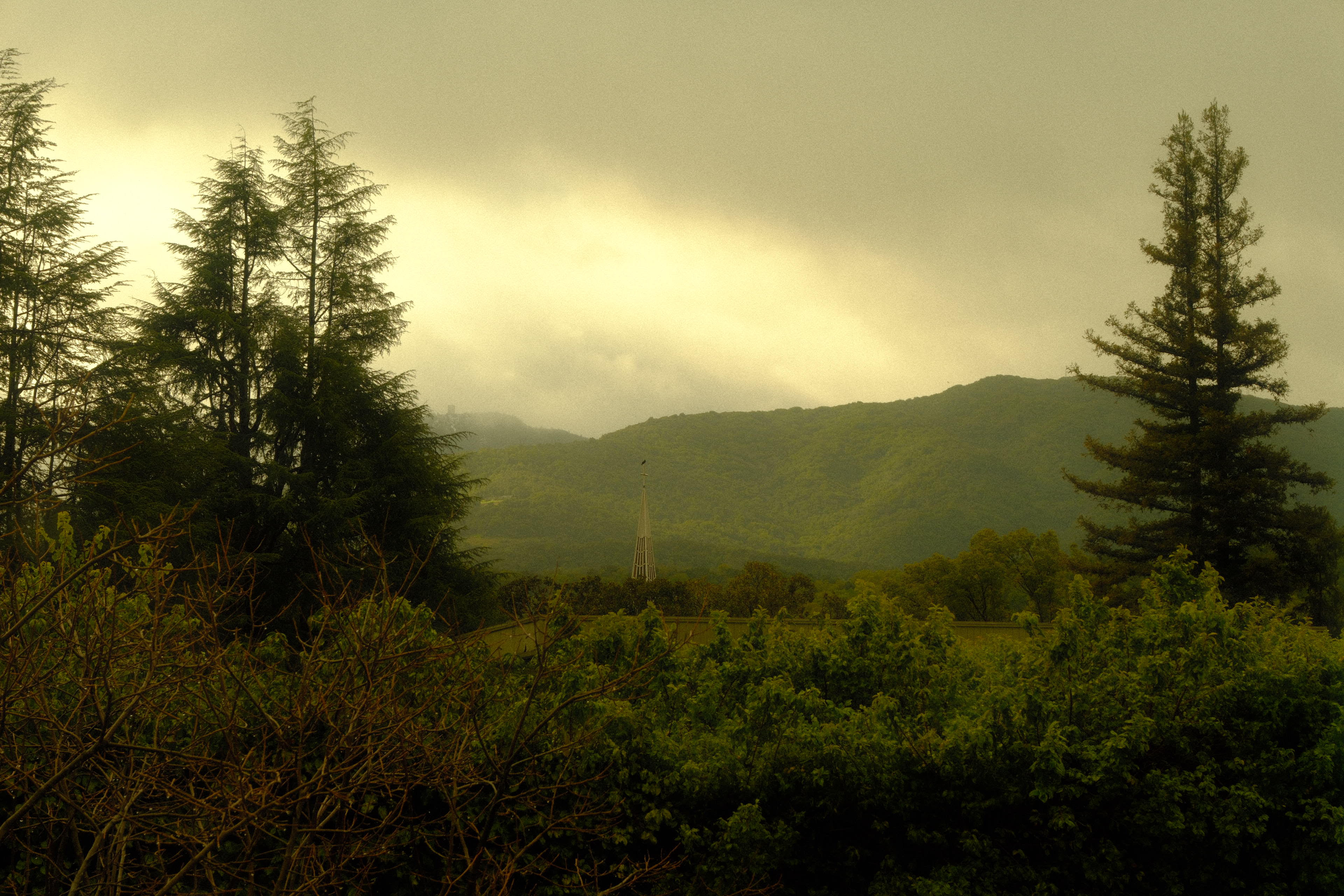 Photograph by Grant Chiu