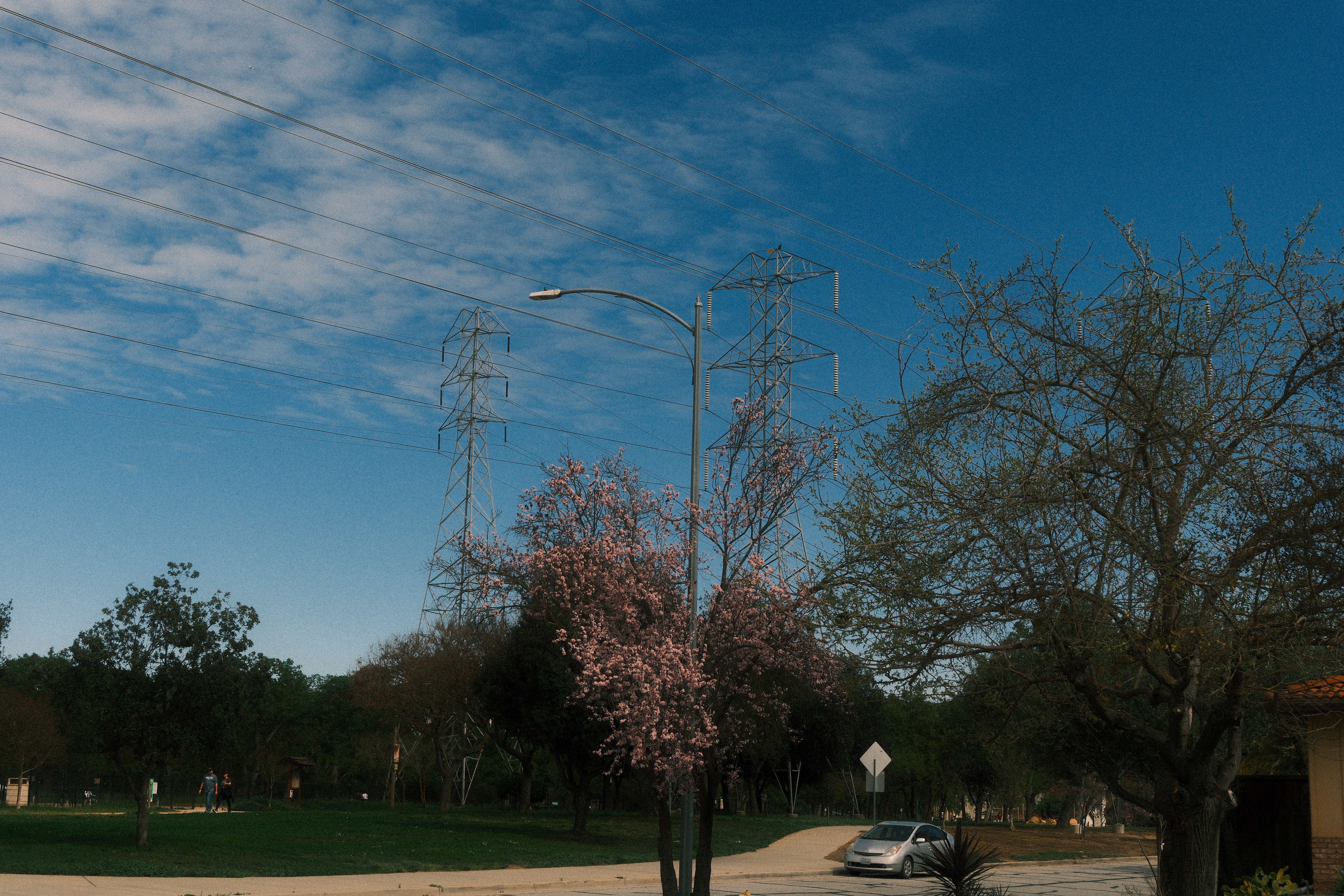 Photograph by Grant Chiu