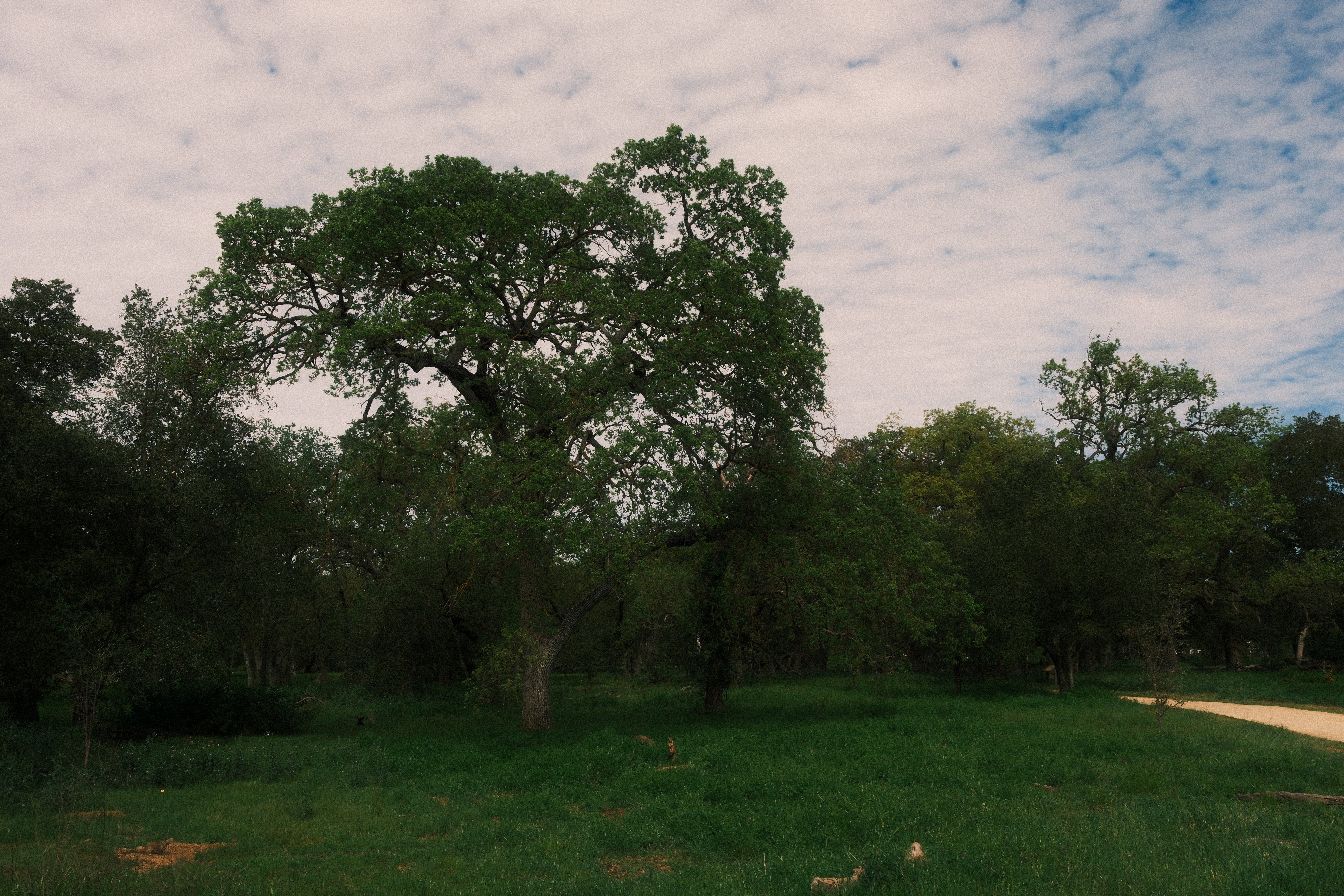 Photograph by Grant Chiu