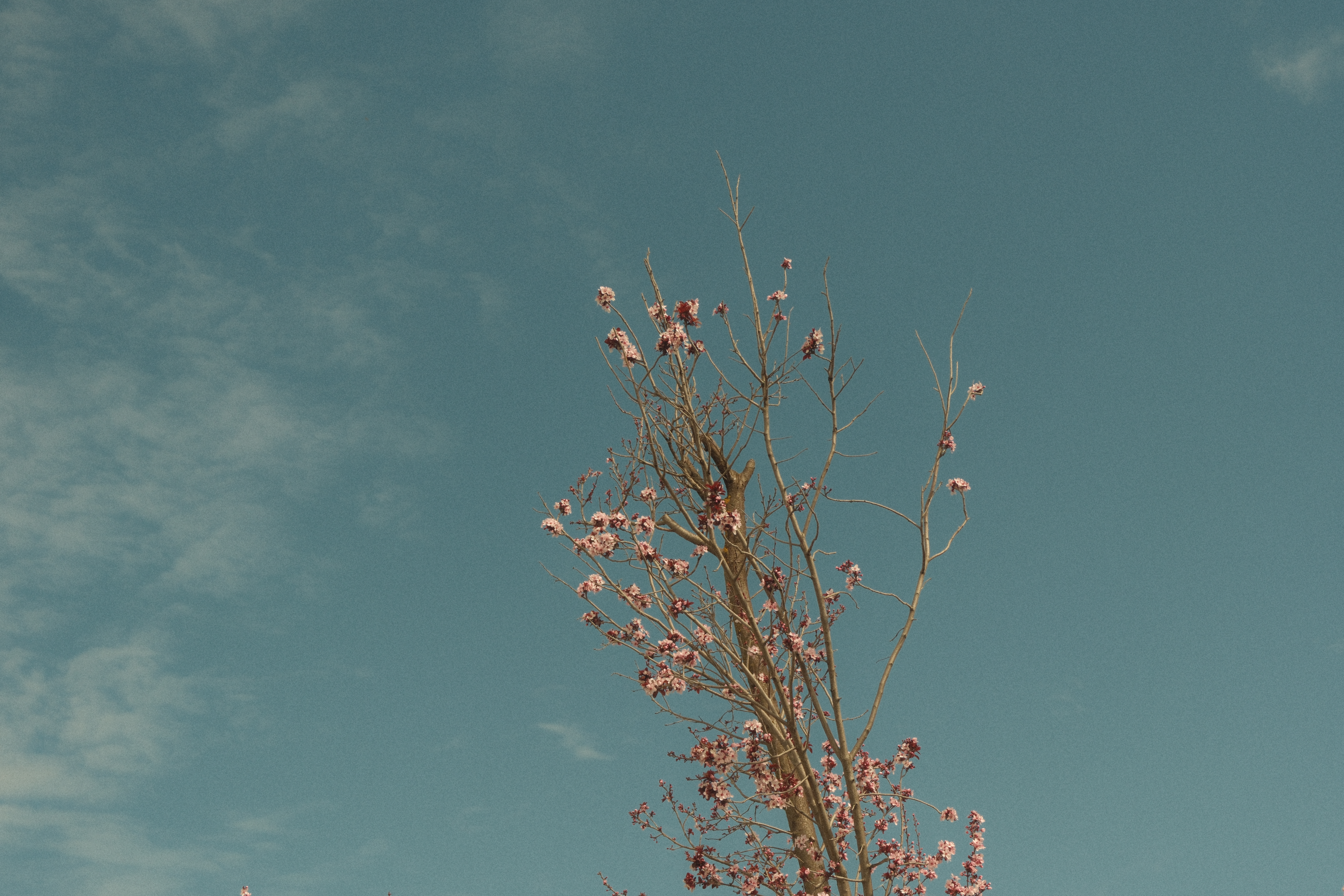 Photograph by Grant Chiu