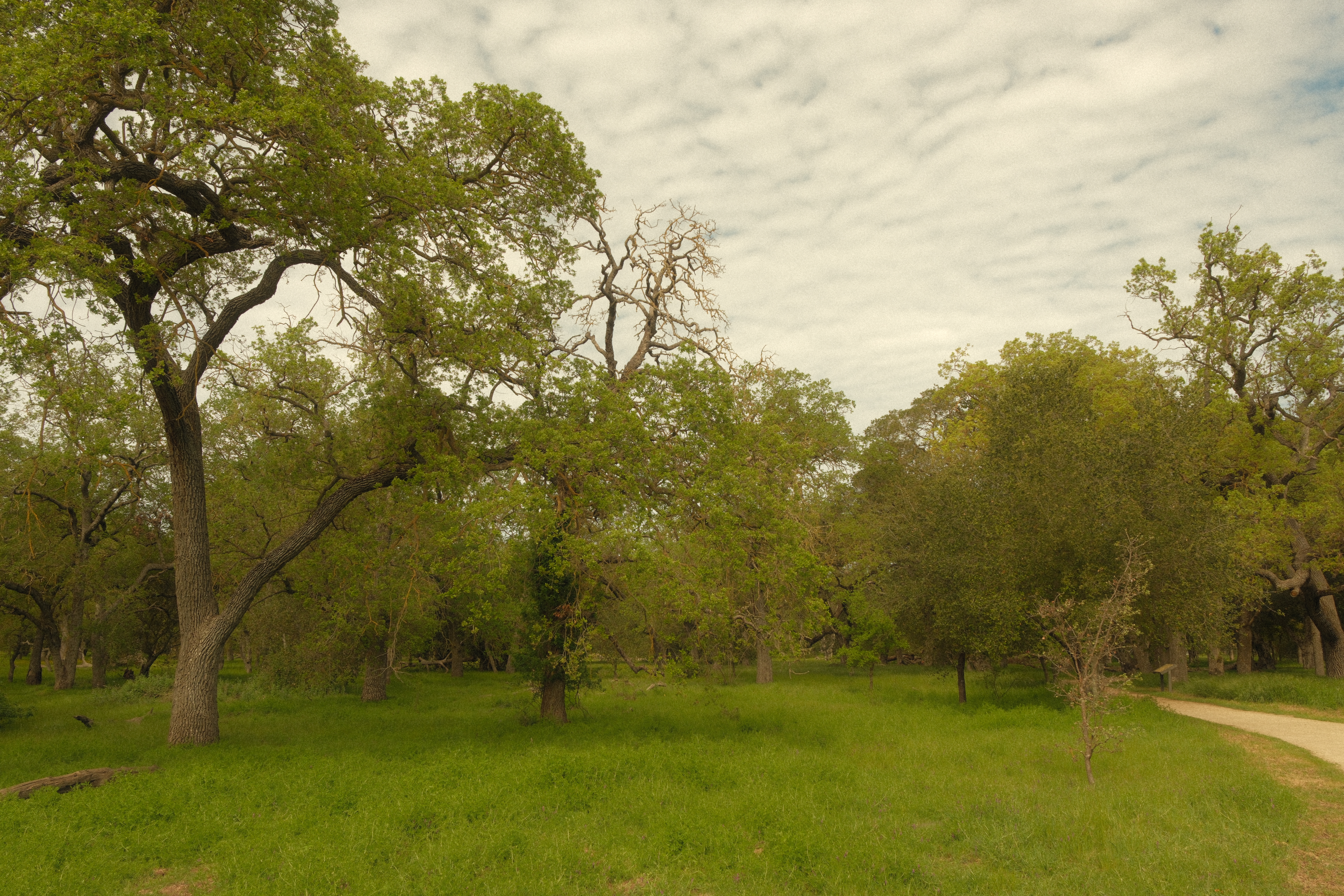 Photograph by Grant Chiu