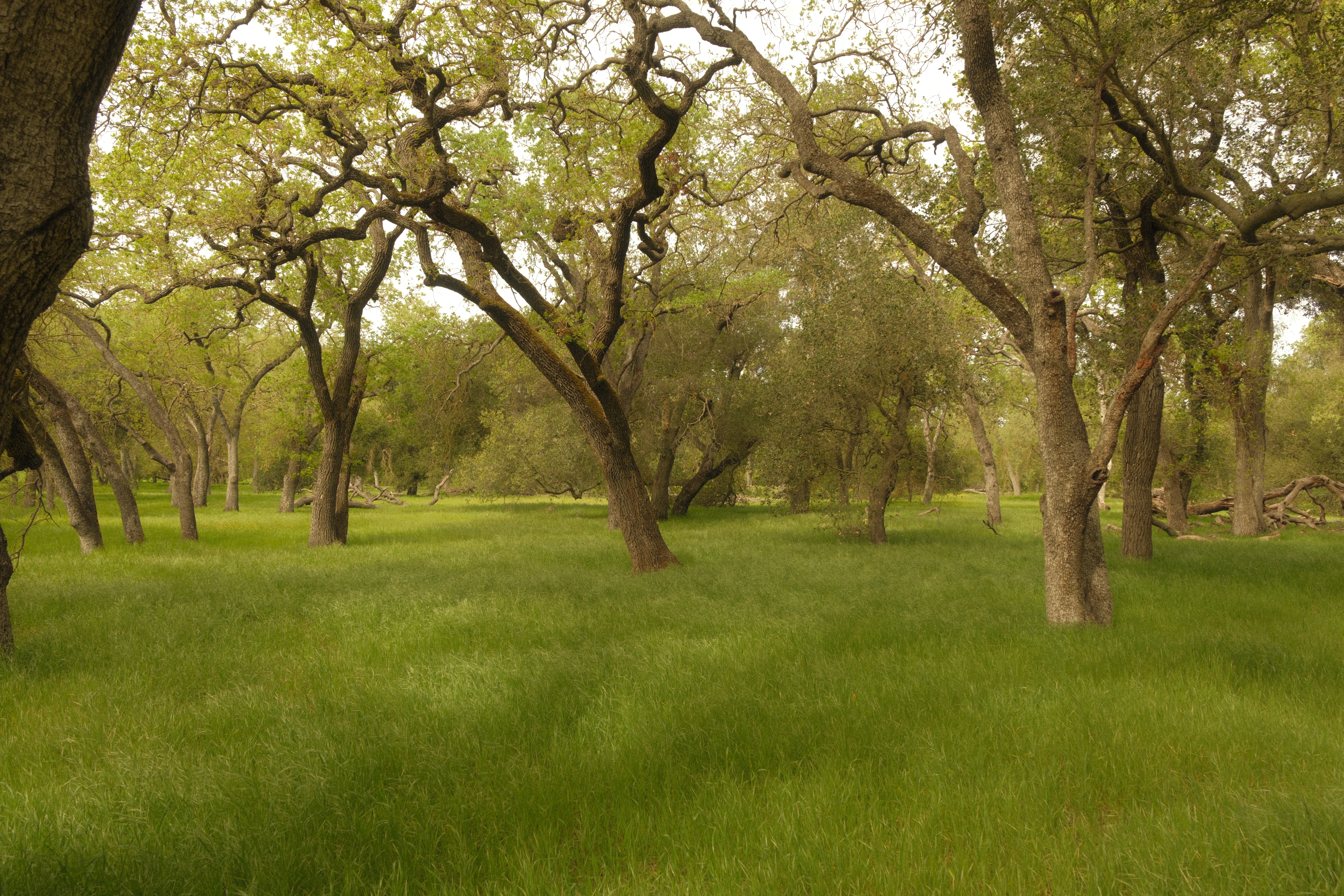 Photograph by Grant Chiu