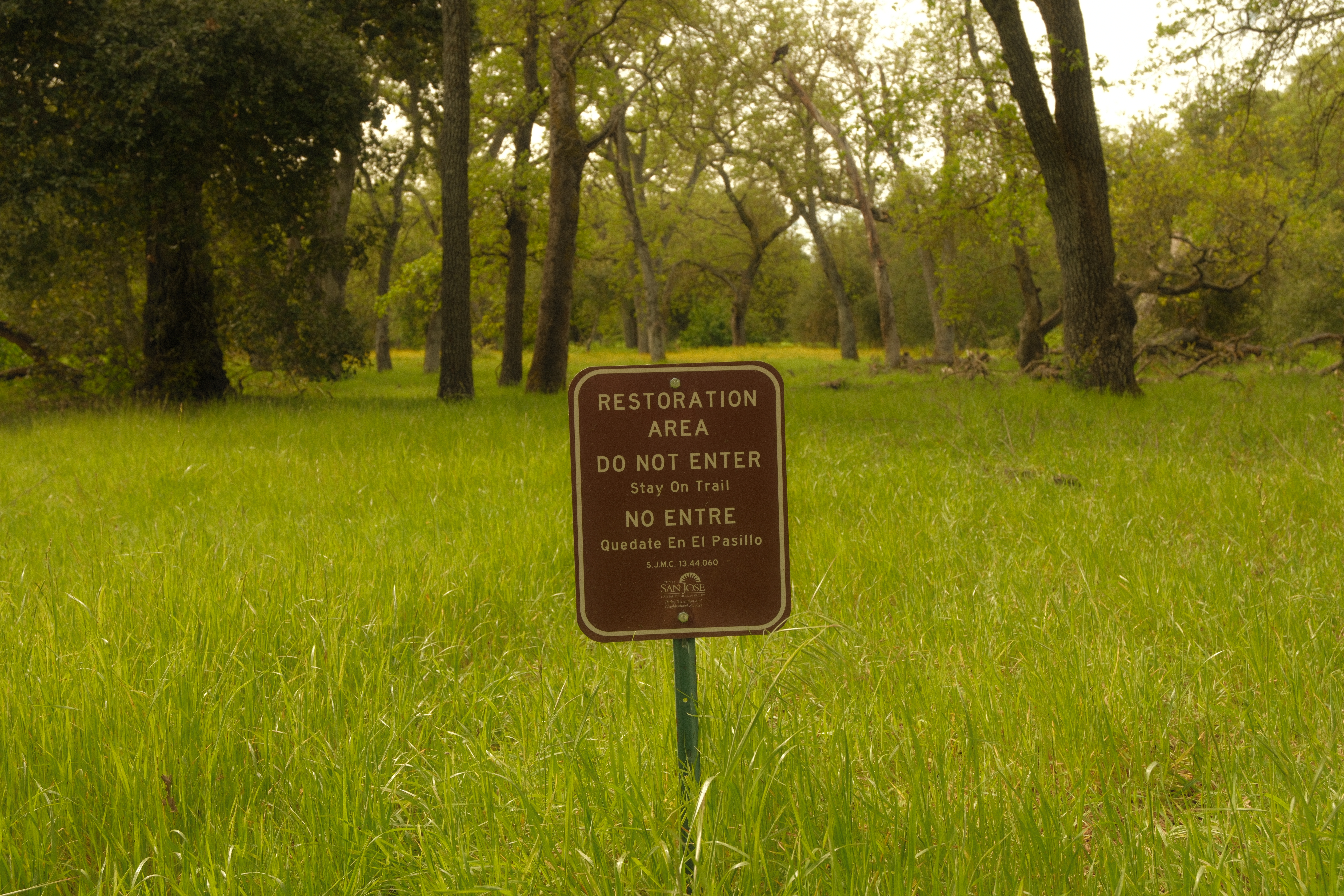 Photograph by Grant Chiu